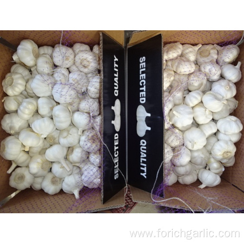 Pure White Garlic Fresh New Crop 2019